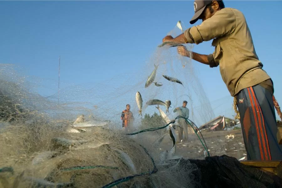 Pescador profissional vs. pescador esportivo: entendendo as diferenças