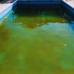 Piscina com limo