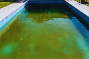 Piscina com limo