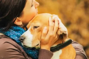 Meu cão pode estar doente